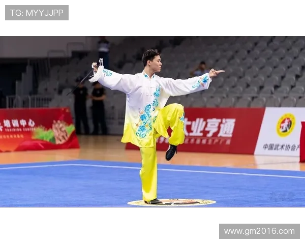 世界武术锦标赛：全球顶尖武术选手激战巅峰 展现传统与现代技艺完美融合