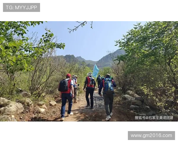 适合登山初学者的安全入门指南与必备装备全面解析